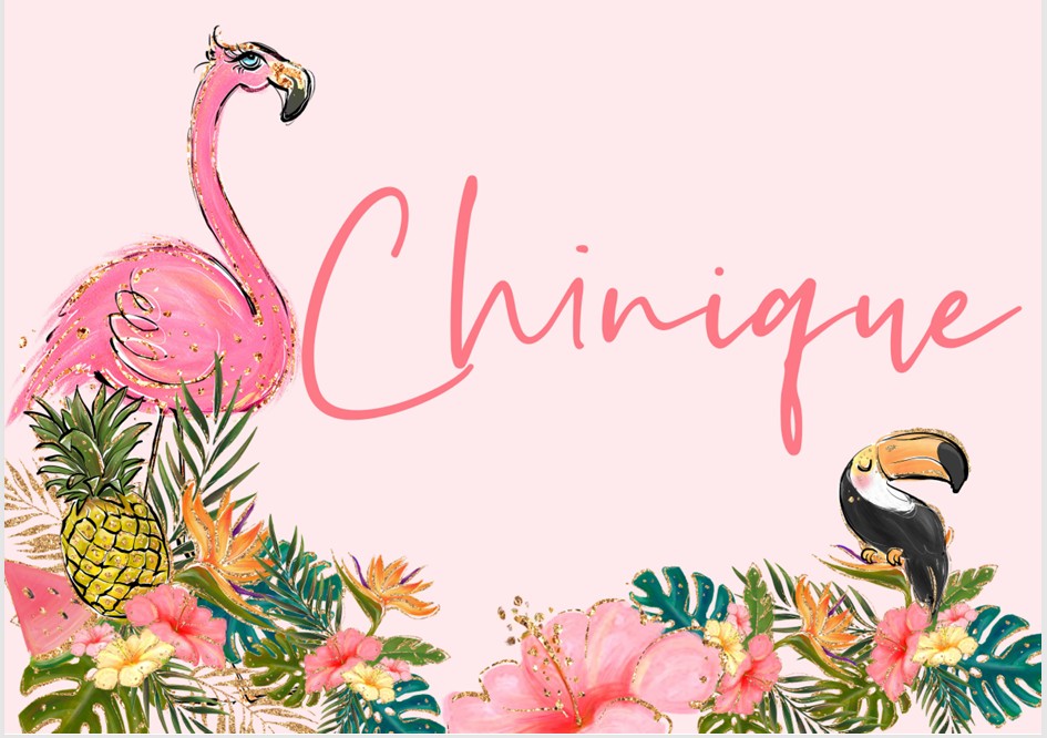 Flamingo blanket