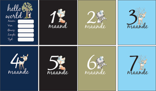 Hello wereld milestone deer blanket