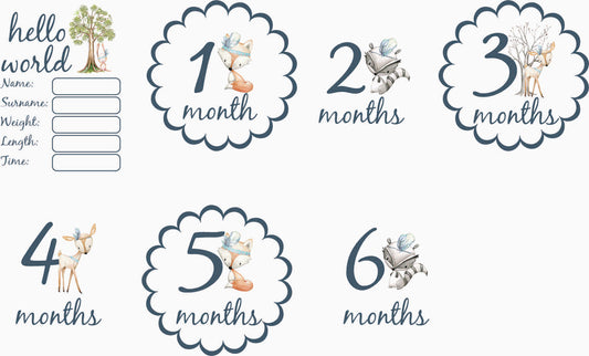 Hello world deer milestone blanket