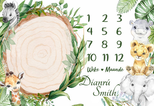 Dianru milestone blanket