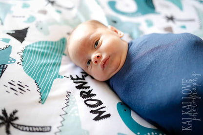 Morne Dino swaddle