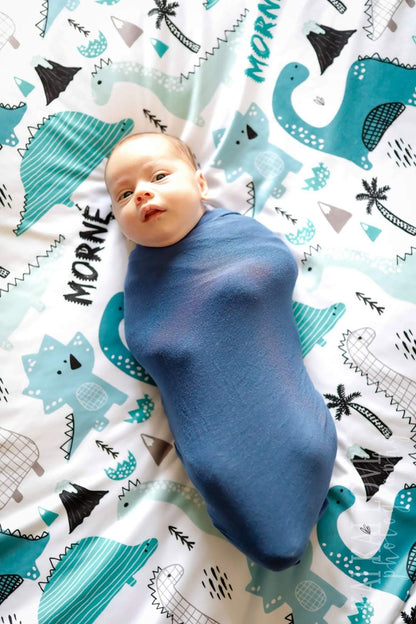 Morne Dino swaddle